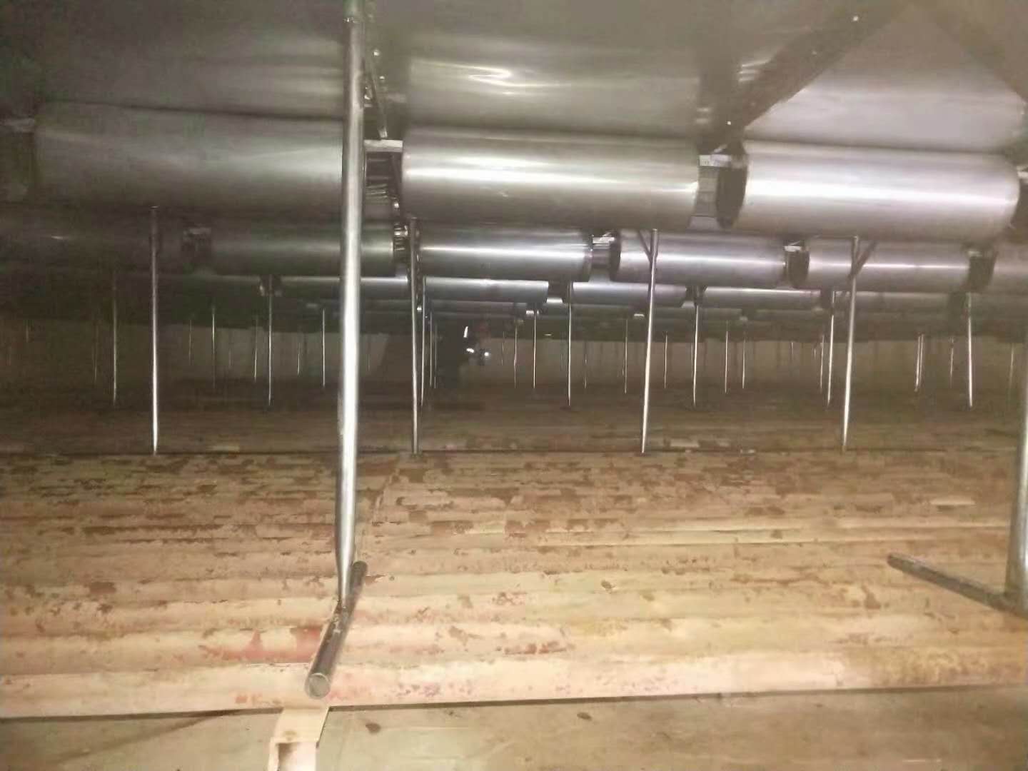 ������ڸ���